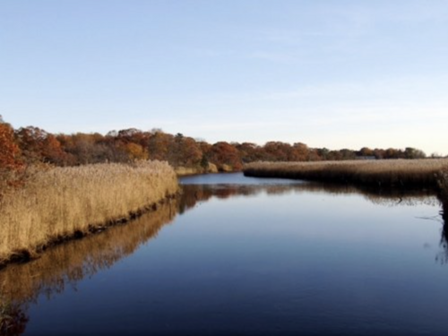 Bayport